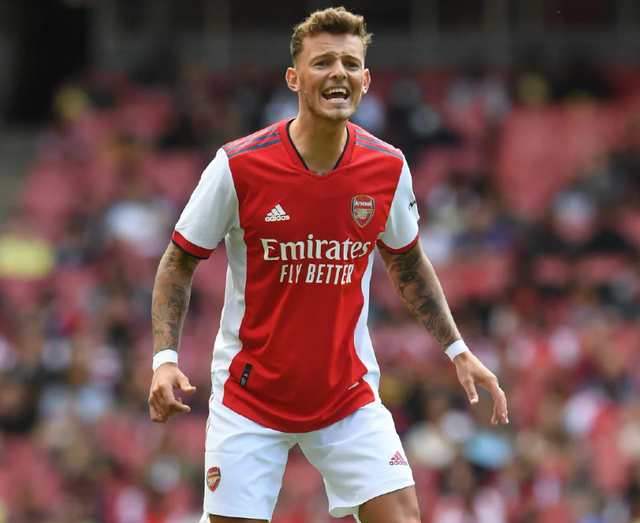 爱游戏体育- 阿森纳名将 